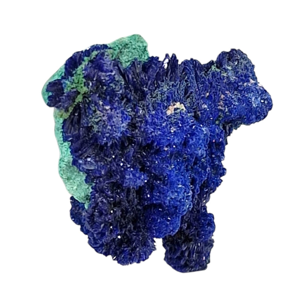 GeoFossils – Crystalline Azurite specimen with rich electric blue crystal formations ideal for intuitive and spiritual work.