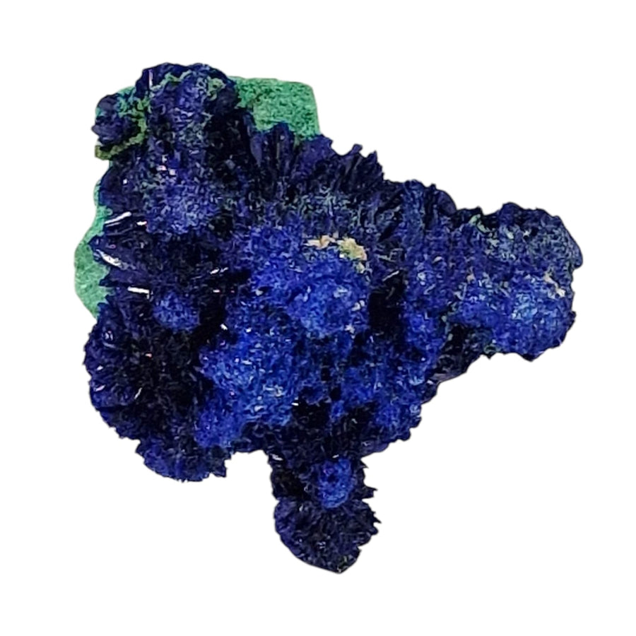 GeoFossils – Crystalline Azurite specimen with rich electric blue crystal formations ideal for intuitive and spiritual work.