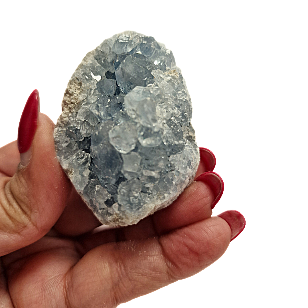 GeoFossils Celestite cluster top view with dense blue crystals