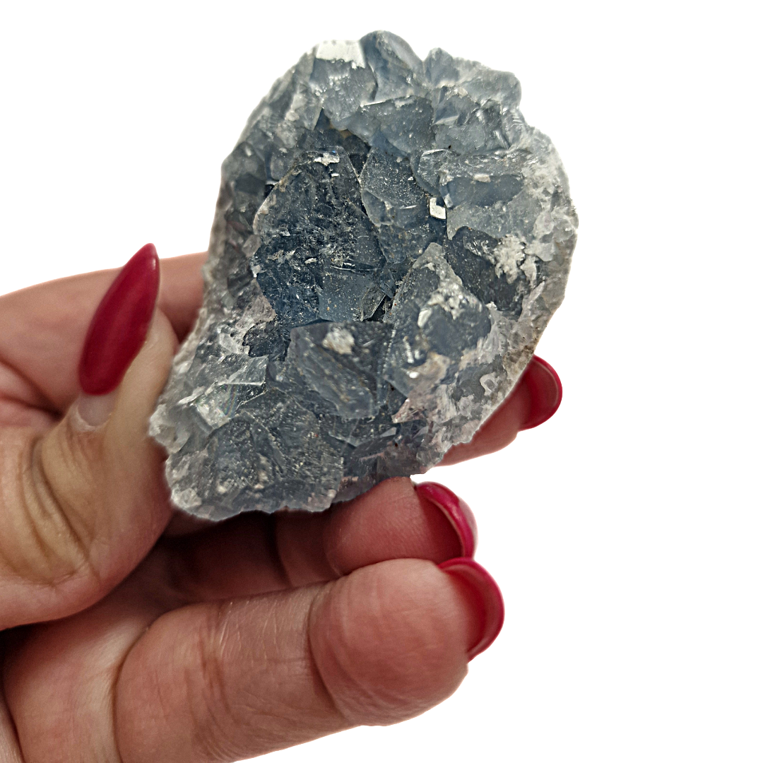 GeoFossils Celestite cluster top view with dense blue crystals