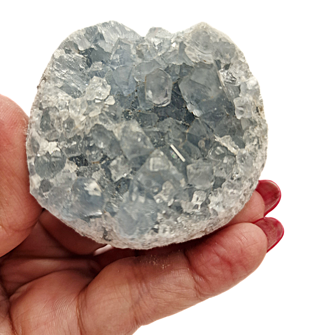 GeoFossils Celestite specimen soft blue crystal aesthetic display