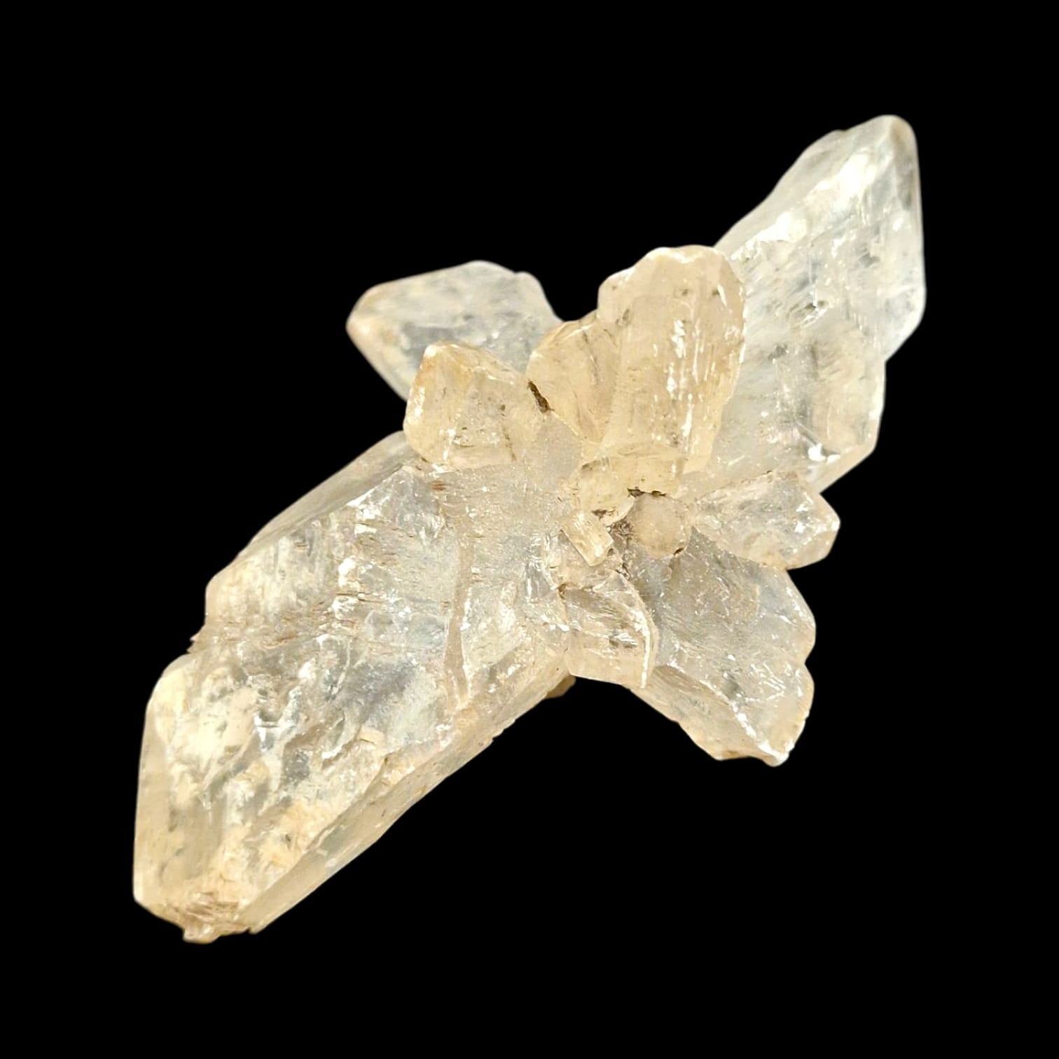 GeoFossils Gypsum Mineral Specimen from Warden Point, UK – UV reactive crystal with soft white tones and fibrous texture.