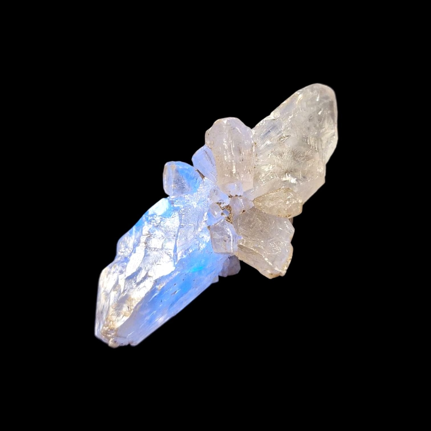 GeoFossils Gypsum Mineral Specimen from Warden Point, UK – UV reactive crystal with soft white tones and fibrous texture.