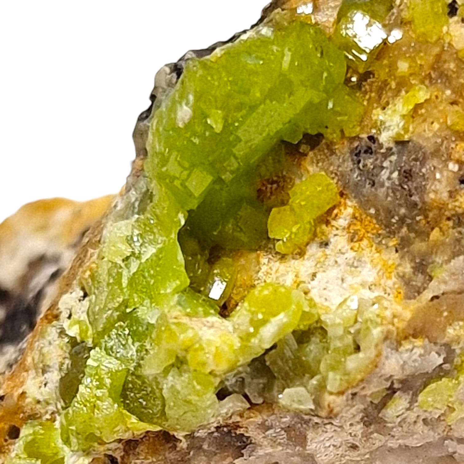 GeoFossils Hemimorphite Mineral Specimen from Greystones Quarry, Cornwall – showcasing delicate pale blue to white crystal formations on matrix.