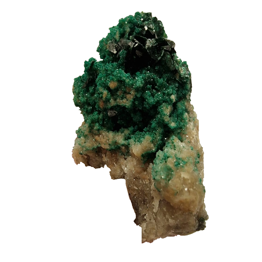 GeoFossils Libethenite mineral specimen with densely packed dark green crystals.