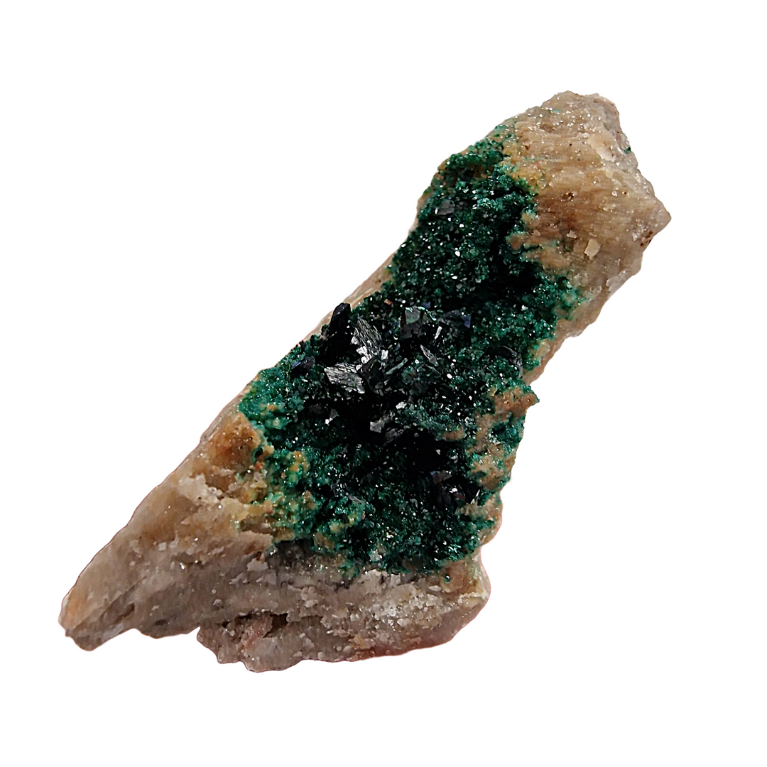 GeoFossils Libethenite crystal plate with dark shimmering formations.