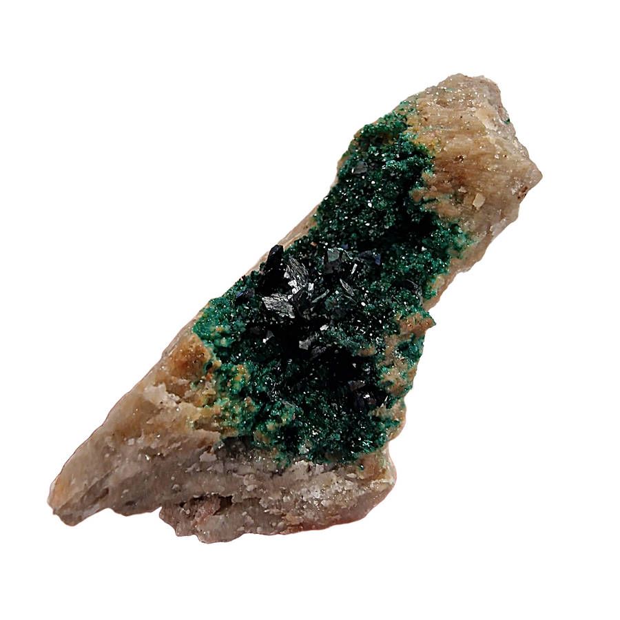 GeoFossils Libethenite crystal plate with dark shimmering formations.