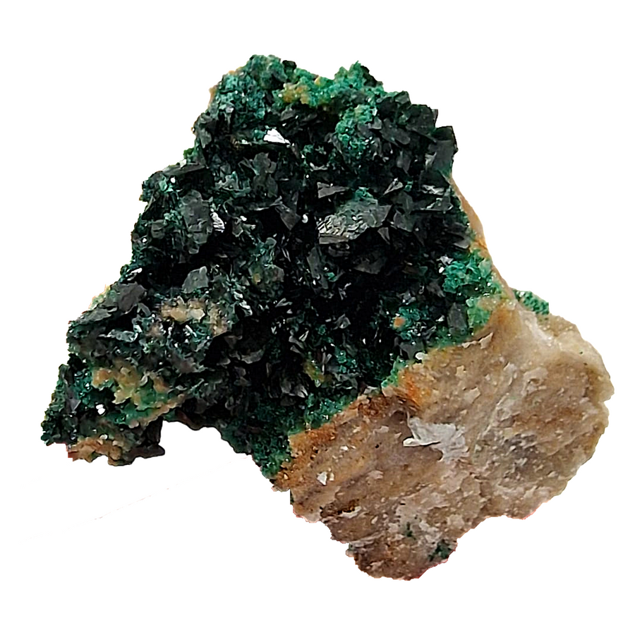 GeoFossils Libethenite cluster with rich green crystal spread on matrix.