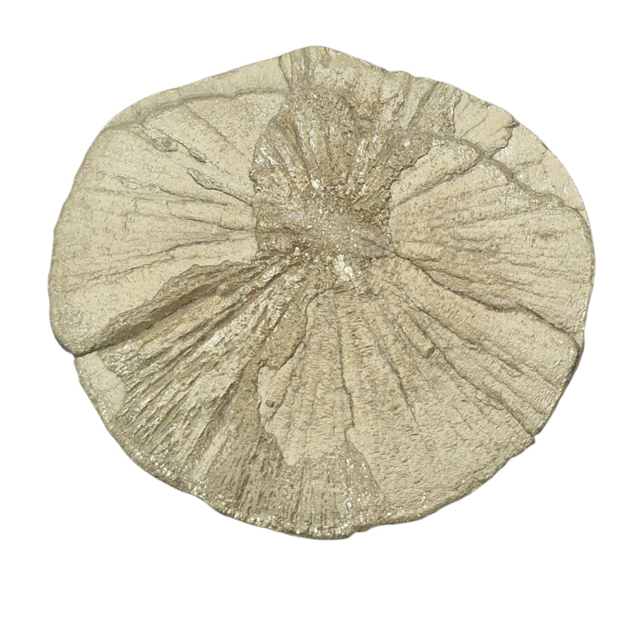 GeoFossils Small Pyrite Sun – metallic gold disc-shaped mineral for manifestation, protection, and solar energy activation.