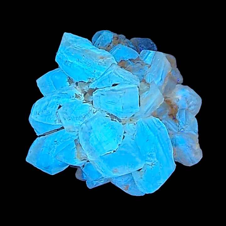GeoFossils Selenite Mineral Specimen, UV reactive crystal for energy cleansing, clarity, and spiritual elevation.