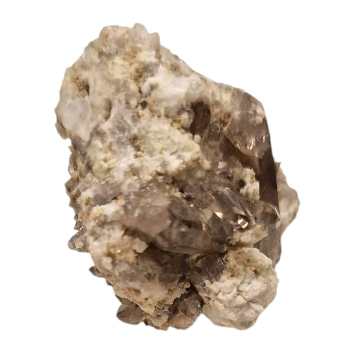 GeoFossils Smokey Quartz on Matrix from Furka Pass, Switzerland – a high-lustre, three-dimensional cluster of dark quartz crystals on natural host rock.