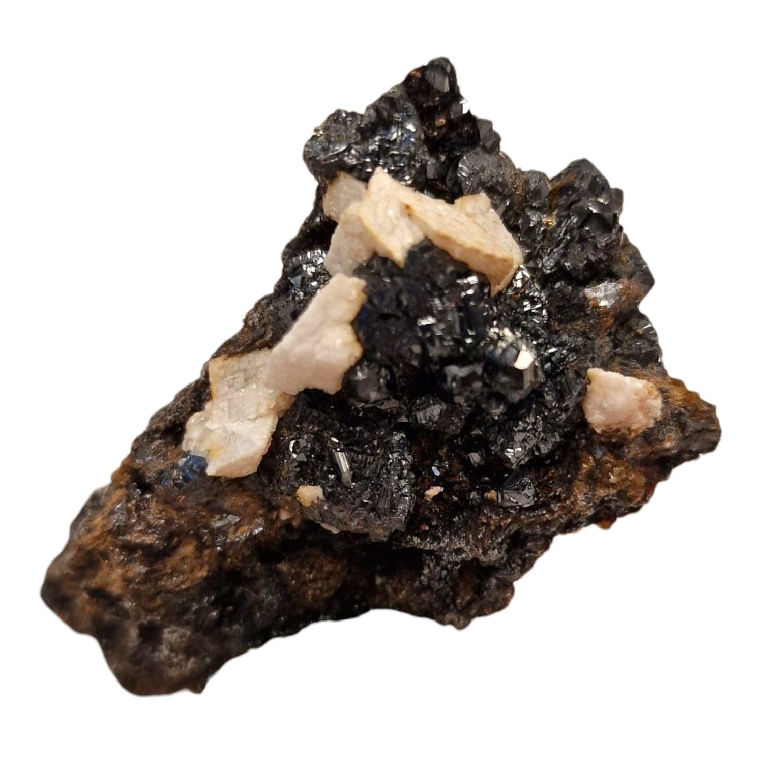 GeoFossils Sphalerite and Ankerite Mineral Specimen from Smallclough Mine, Cumbria – featuring lustrous black sphalerite crystals with contrasting buff-toned ankerite on matrix.