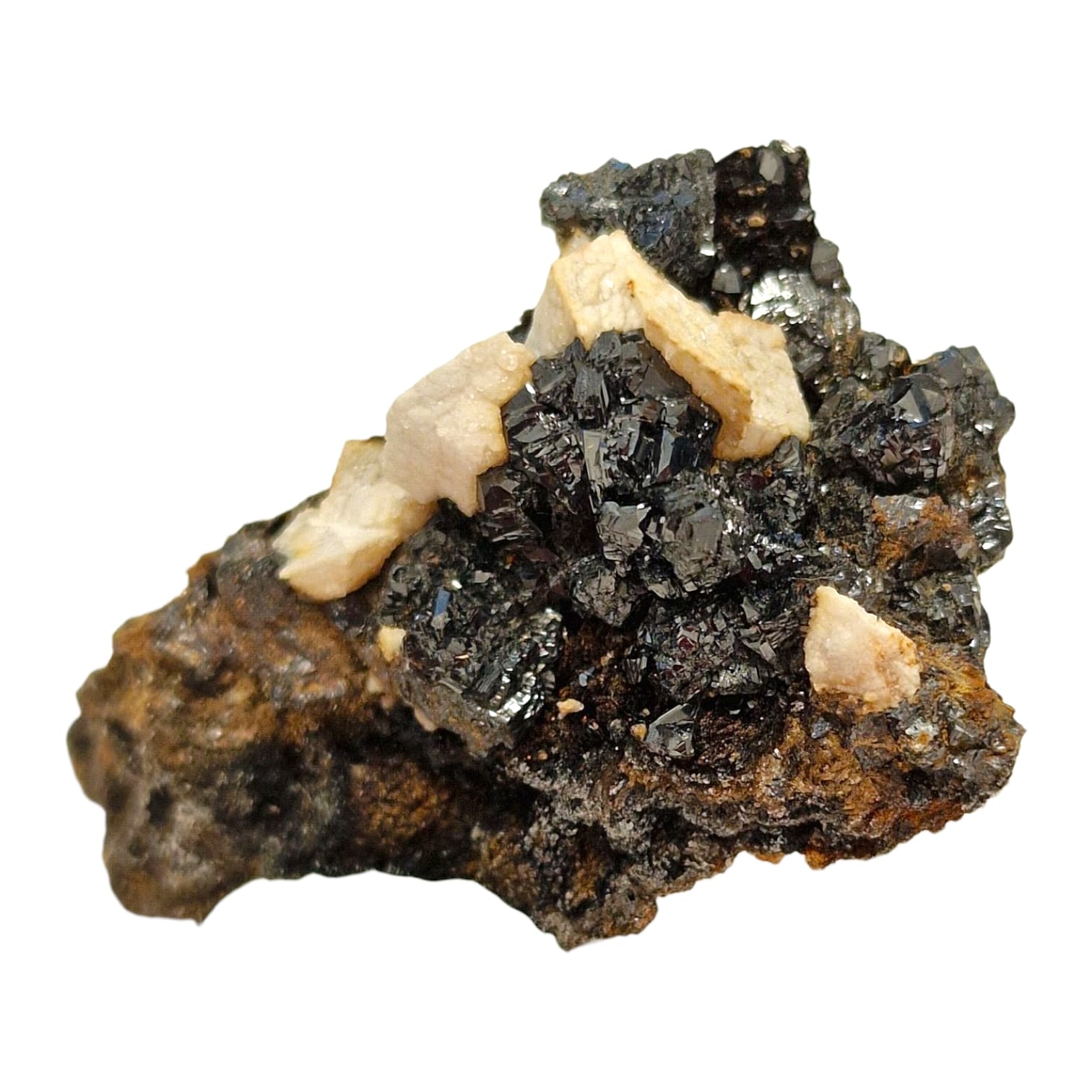 GeoFossils Sphalerite and Ankerite Mineral Specimen from Smallclough Mine, Cumbria – featuring lustrous black sphalerite crystals with contrasting buff-toned ankerite on matrix.