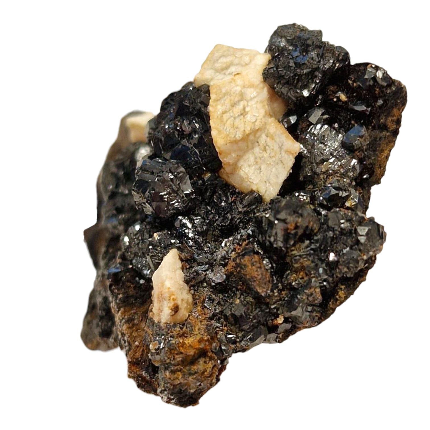 GeoFossils Sphalerite and Ankerite Mineral Specimen from Smallclough Mine, Cumbria – featuring lustrous black sphalerite crystals with contrasting buff-toned ankerite on matrix.