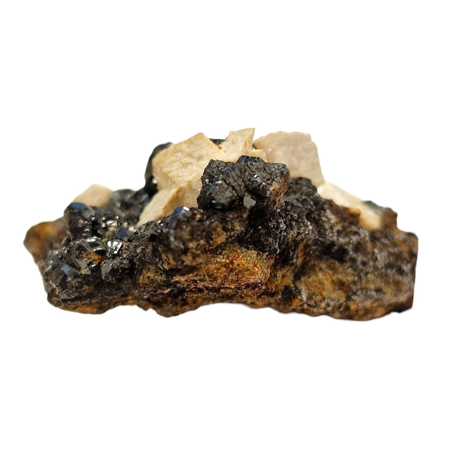 GeoFossils Sphalerite and Ankerite Mineral Specimen from Smallclough Mine, Cumbria – featuring lustrous black sphalerite crystals with contrasting buff-toned ankerite on matrix.