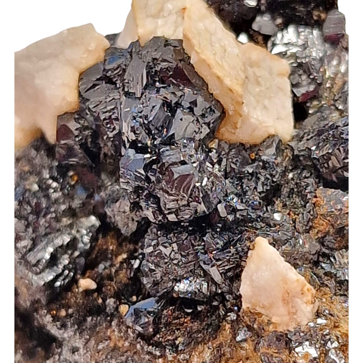 GeoFossils Sphalerite and Ankerite Mineral Specimen from Smallclough Mine, Cumbria – featuring lustrous black sphalerite crystals with contrasting buff-toned ankerite on matrix.