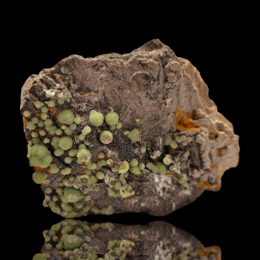 GeoFossils Wavellite Specimen from Arkansas – vibrant lime-green botryoidal crystal clusters with sculptural depth and high luster.