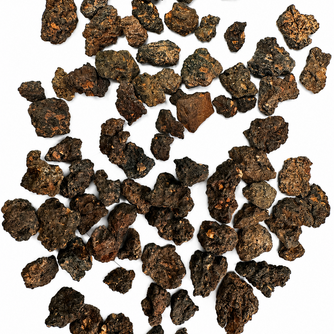 Group of natural Monturaqui Impactite specimens from the Monturaqui impact crater in Chile displayed on a white background.