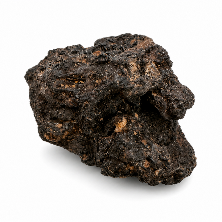 Natural Monturaqui Impactite specimen from Chile showing a porous impact melt texture with embedded mineral fragments on a white background
