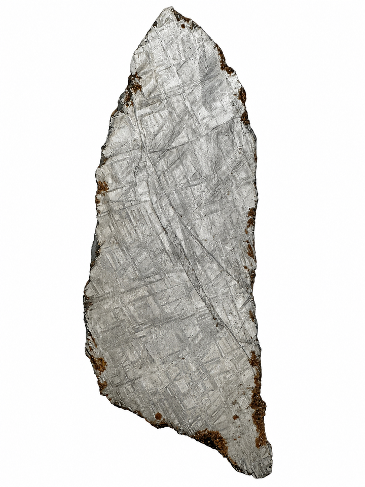 Muonionalusta meteorite slice 417 from Sweden weighing 120.39 g displaying a natural Widmanstätten pattern on a white background.