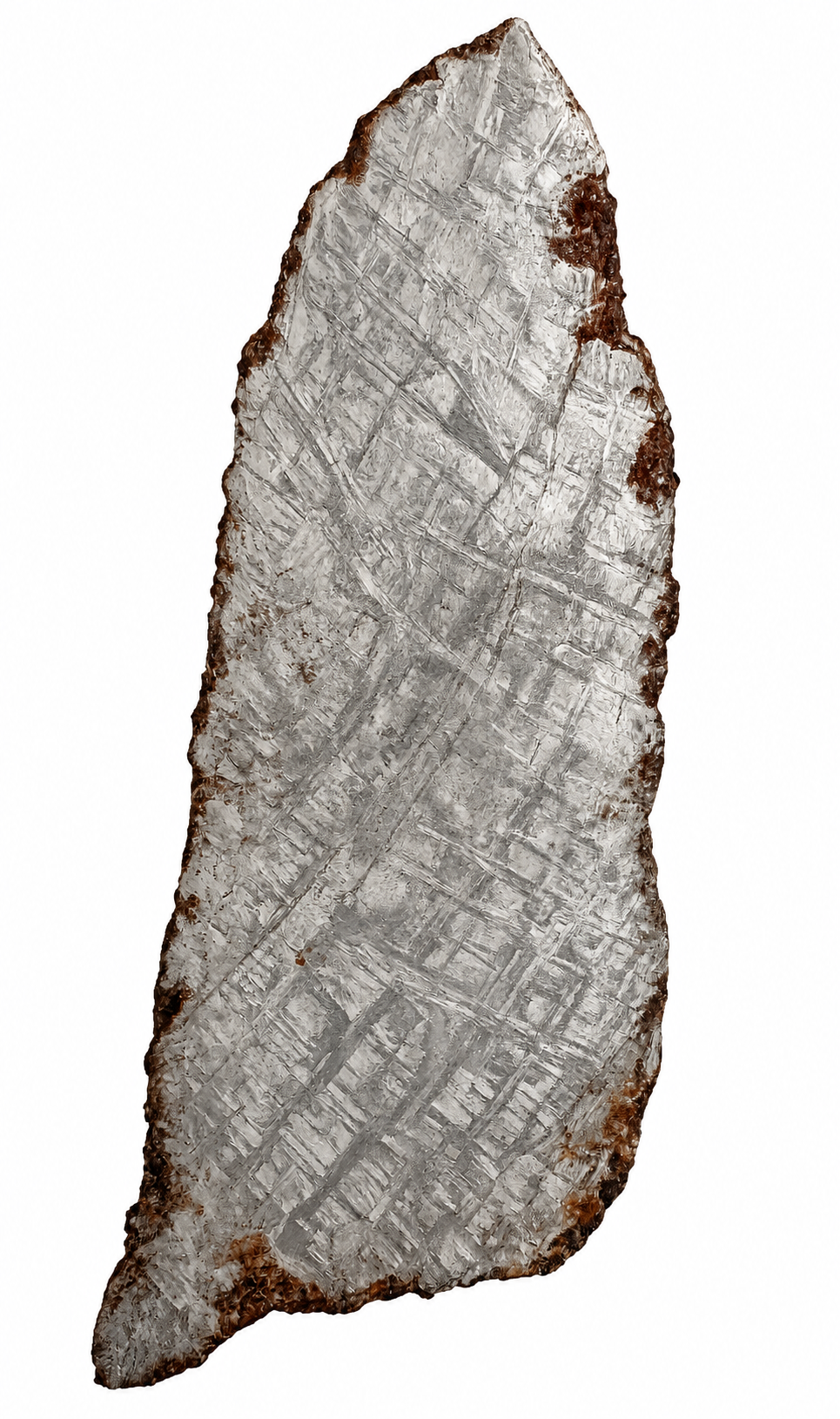 Muonionalusta meteorite slice 418 from Sweden weighing 135.29 g professionally polished and etched to reveal its crystal structure.