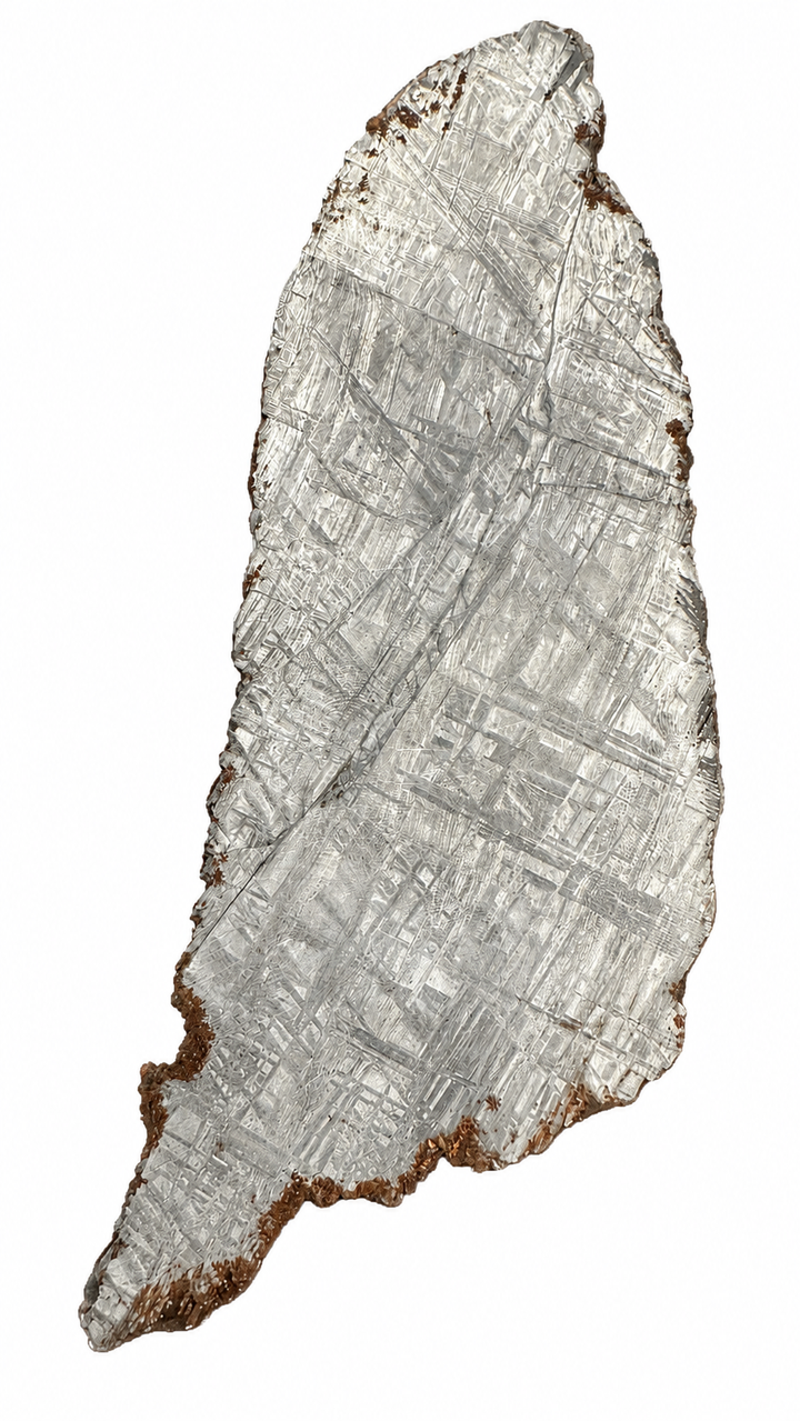 Muonionalusta meteorite slice 419 from Sweden weighing 74.63 g showing the etched Widmanstätten pattern on a white background.