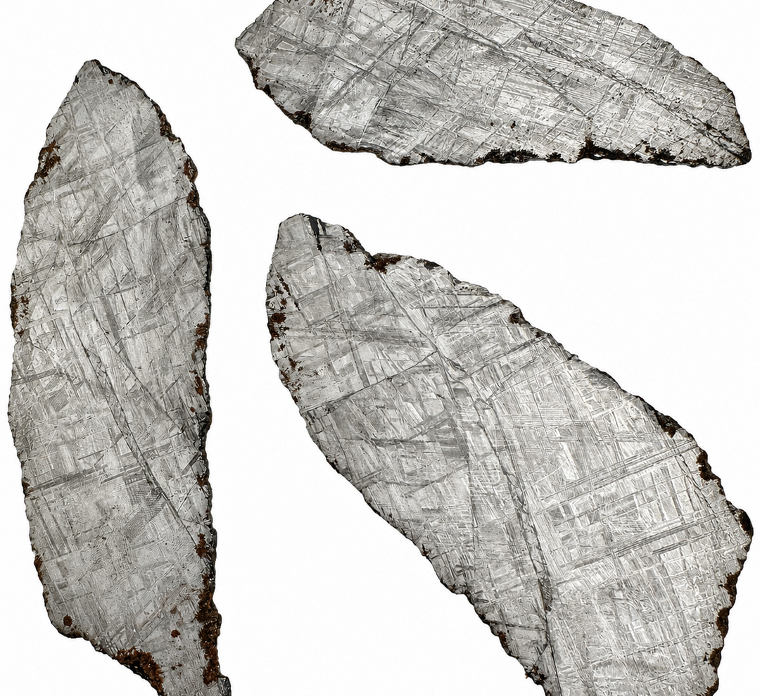 Three individually numbered Muonionalusta meteorite slices from Sweden displaying etched Widmanstätten patterns on a white background.