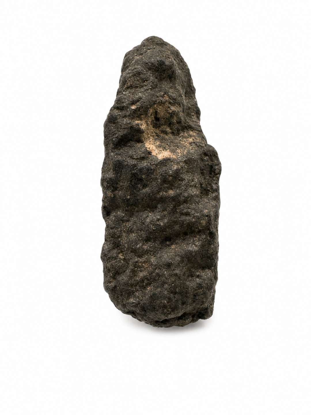 NWA 13643 CM2 Carbonaceous Chondrite Meteorite Specimen