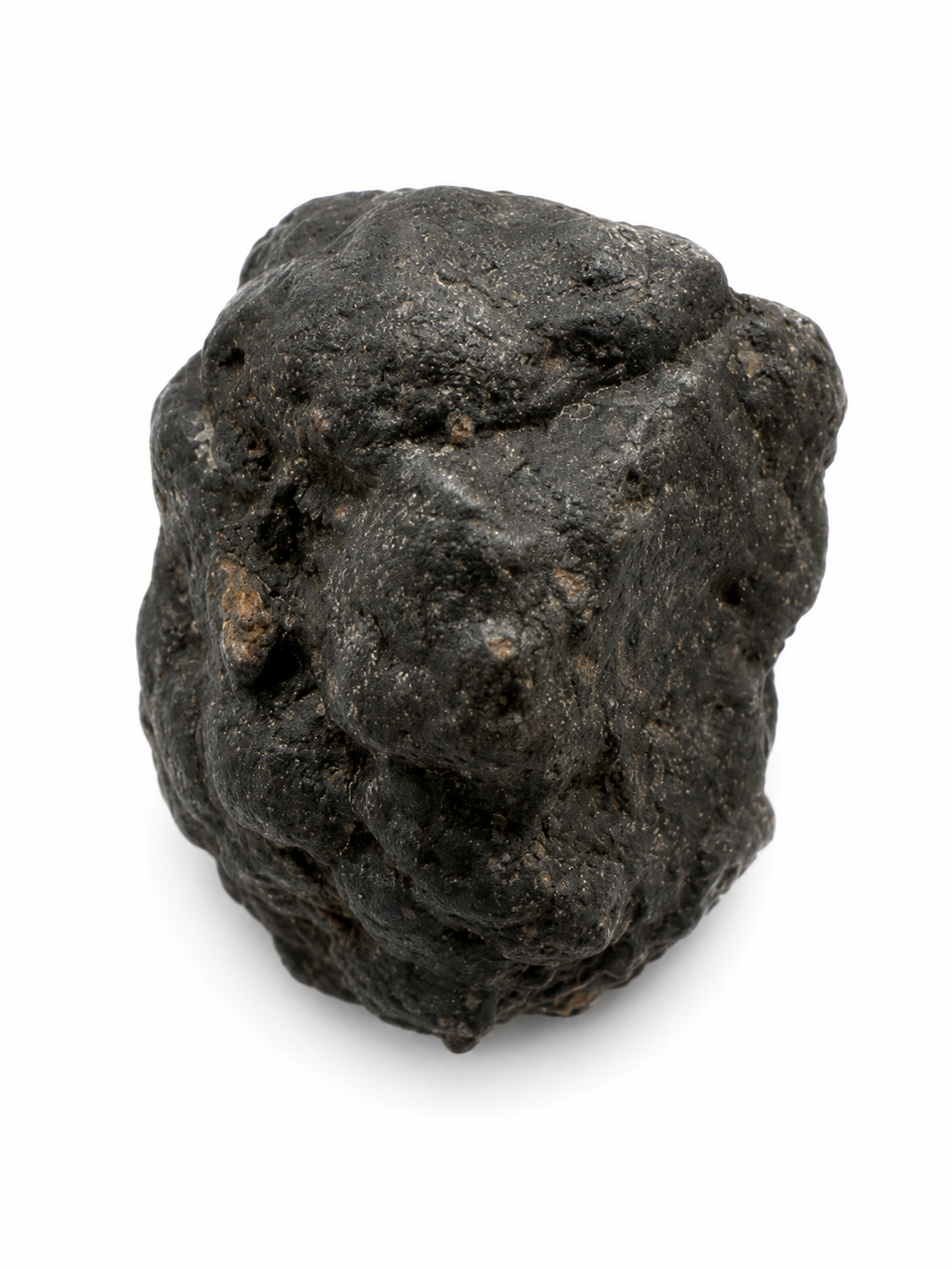 NWA 13643 CM2 Carbonaceous Chondrite Meteorite Specimen