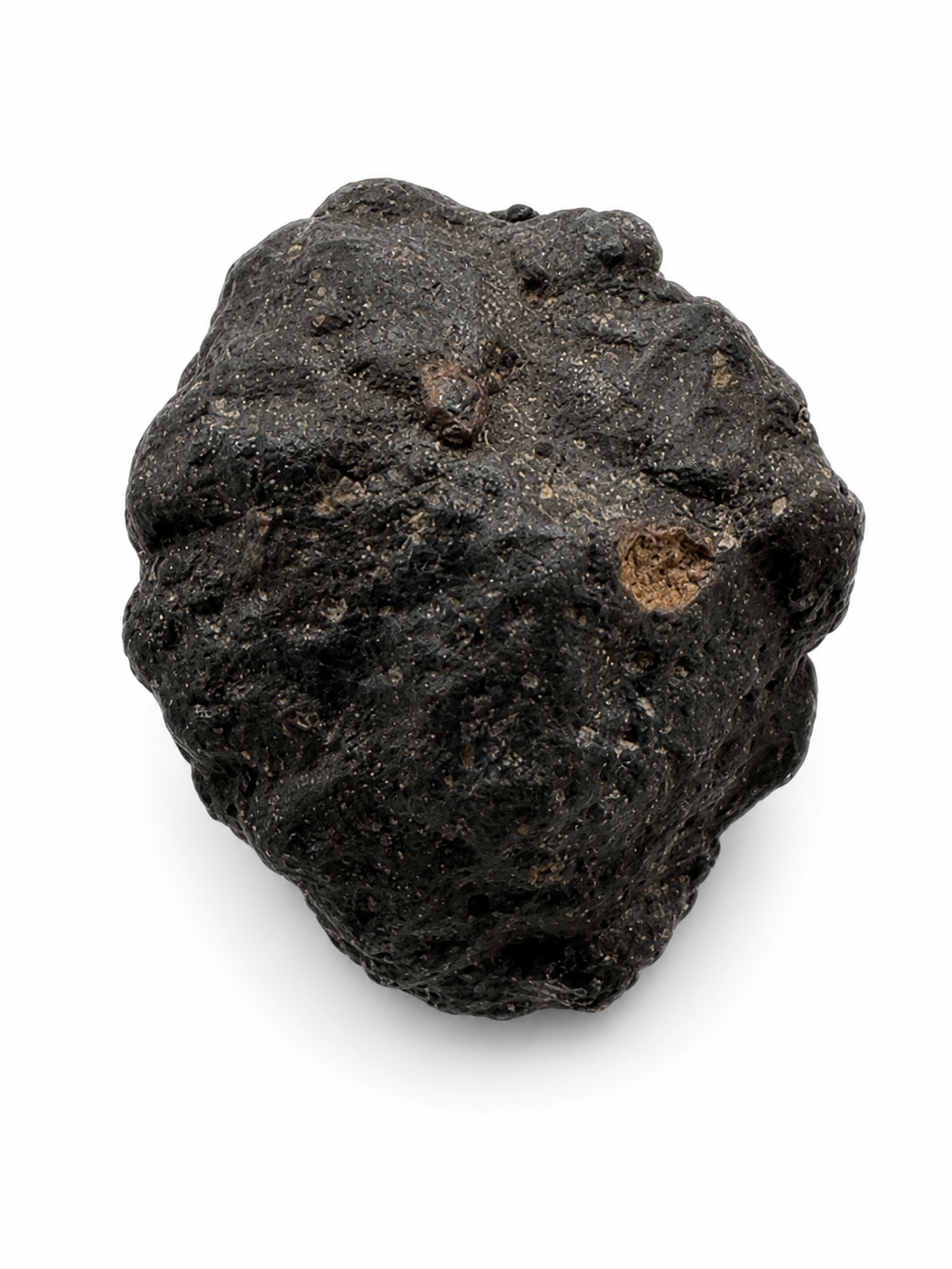 NWA 13643 CM2 Carbonaceous Chondrite Meteorite Specimen
