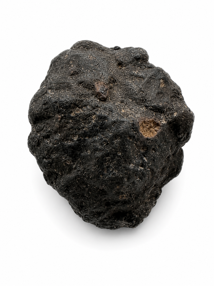 NWA 13643 CM2 Carbonaceous Chondrite Meteorite Specimen