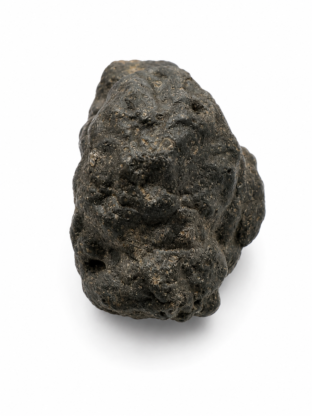 NWA 13643 CM2 Carbonaceous Chondrite Meteorite Specimen