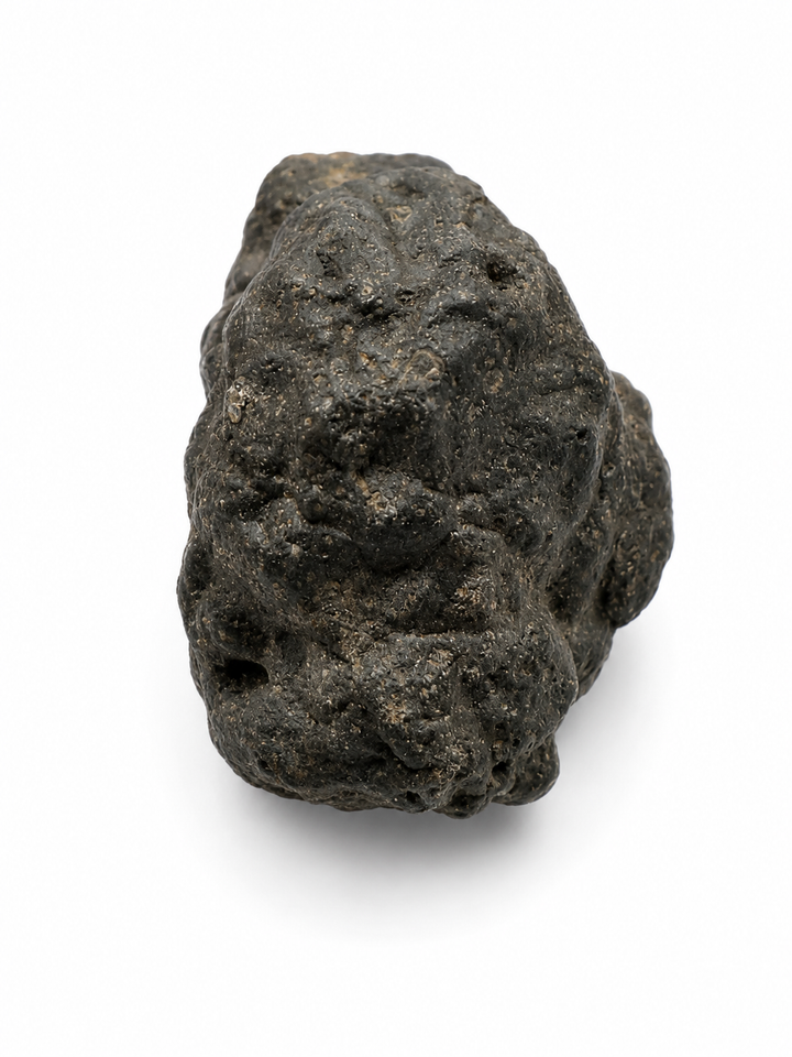NWA 13643 CM2 Carbonaceous Chondrite Meteorite Specimen