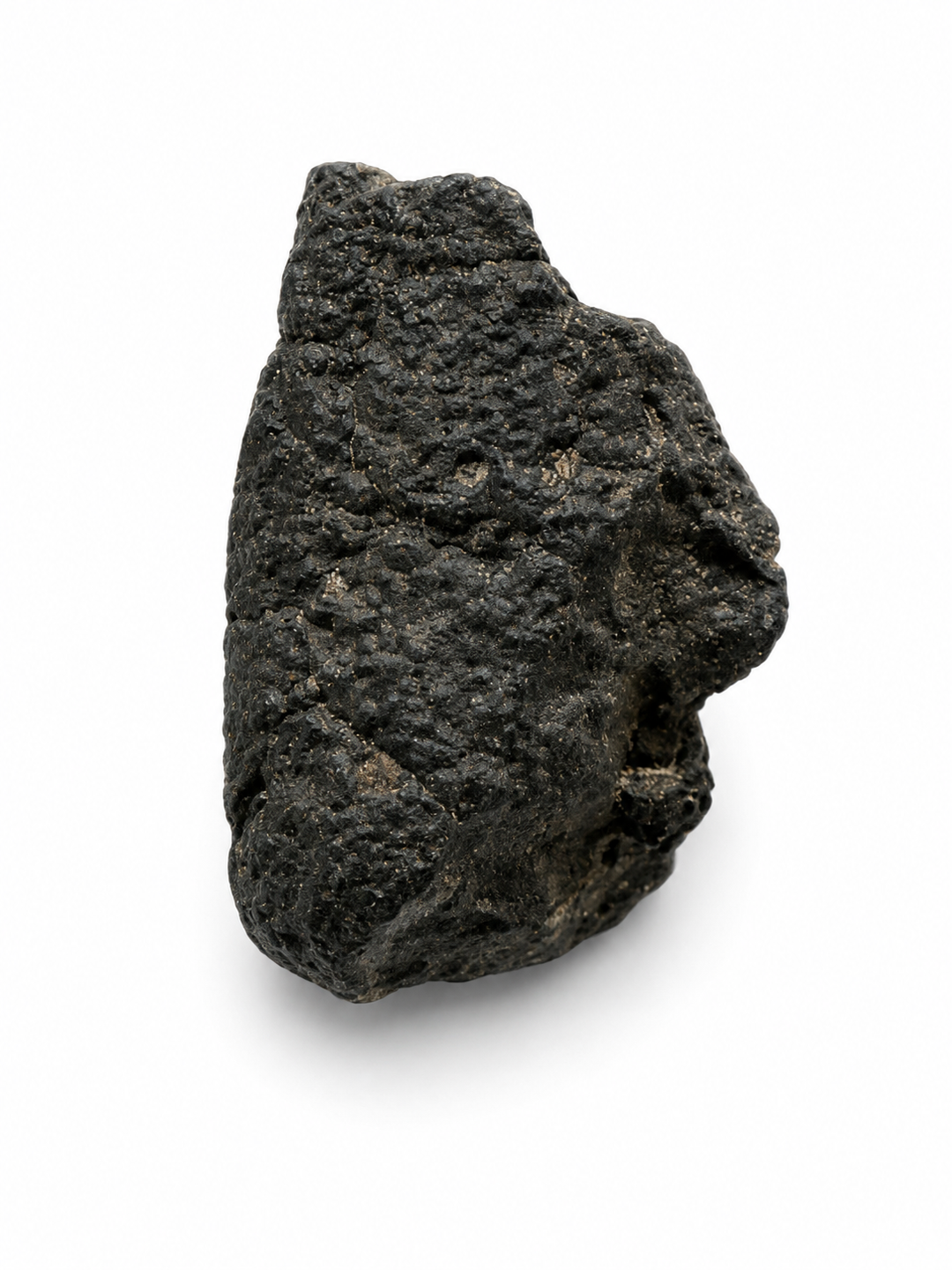 NWA 13643 CM2 Carbonaceous Chondrite Meteorite Specimen