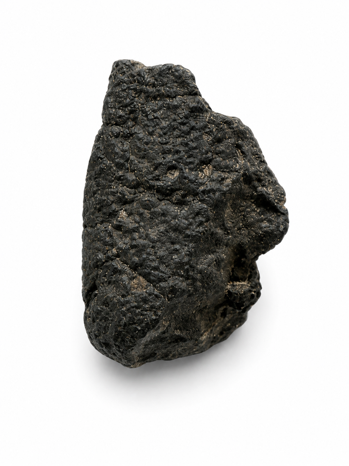 NWA 13643 CM2 Carbonaceous Chondrite Meteorite Specimen
