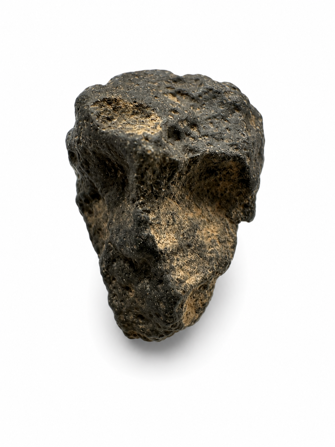 NWA 13643 CM2 Carbonaceous Chondrite Meteorite Specimen