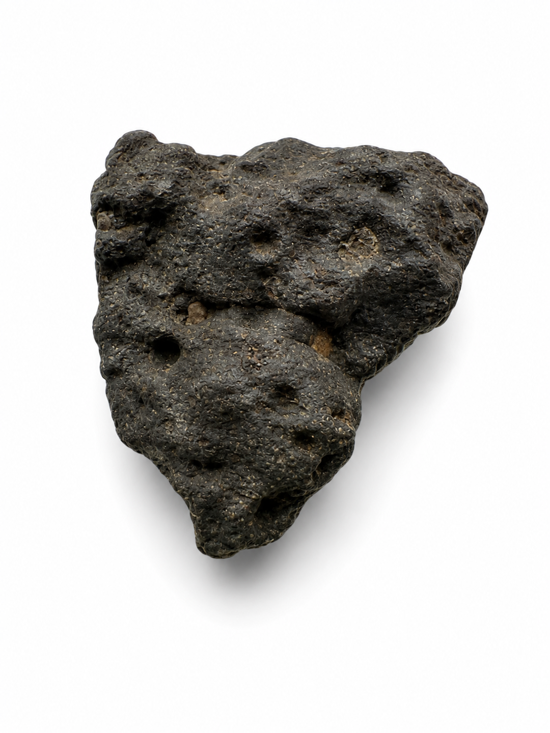 NWA 13643 CM2 Carbonaceous Chondrite Meteorite Specimen