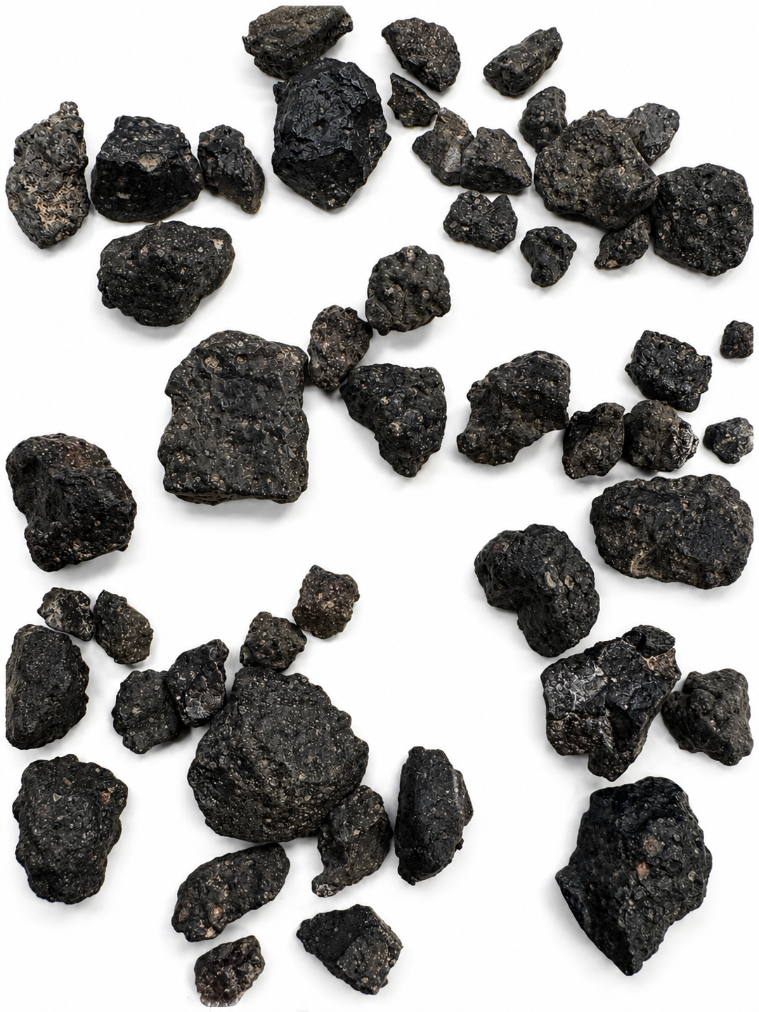 NWA 13643 CM2 Carbonaceous Chondrite Meteorite Specimen