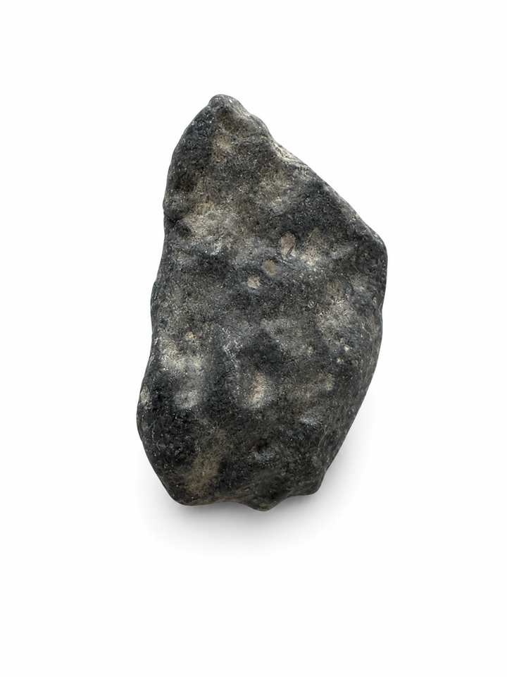 Rare Rumuruti Chondrite (R3–6) from Algeria on a white background.