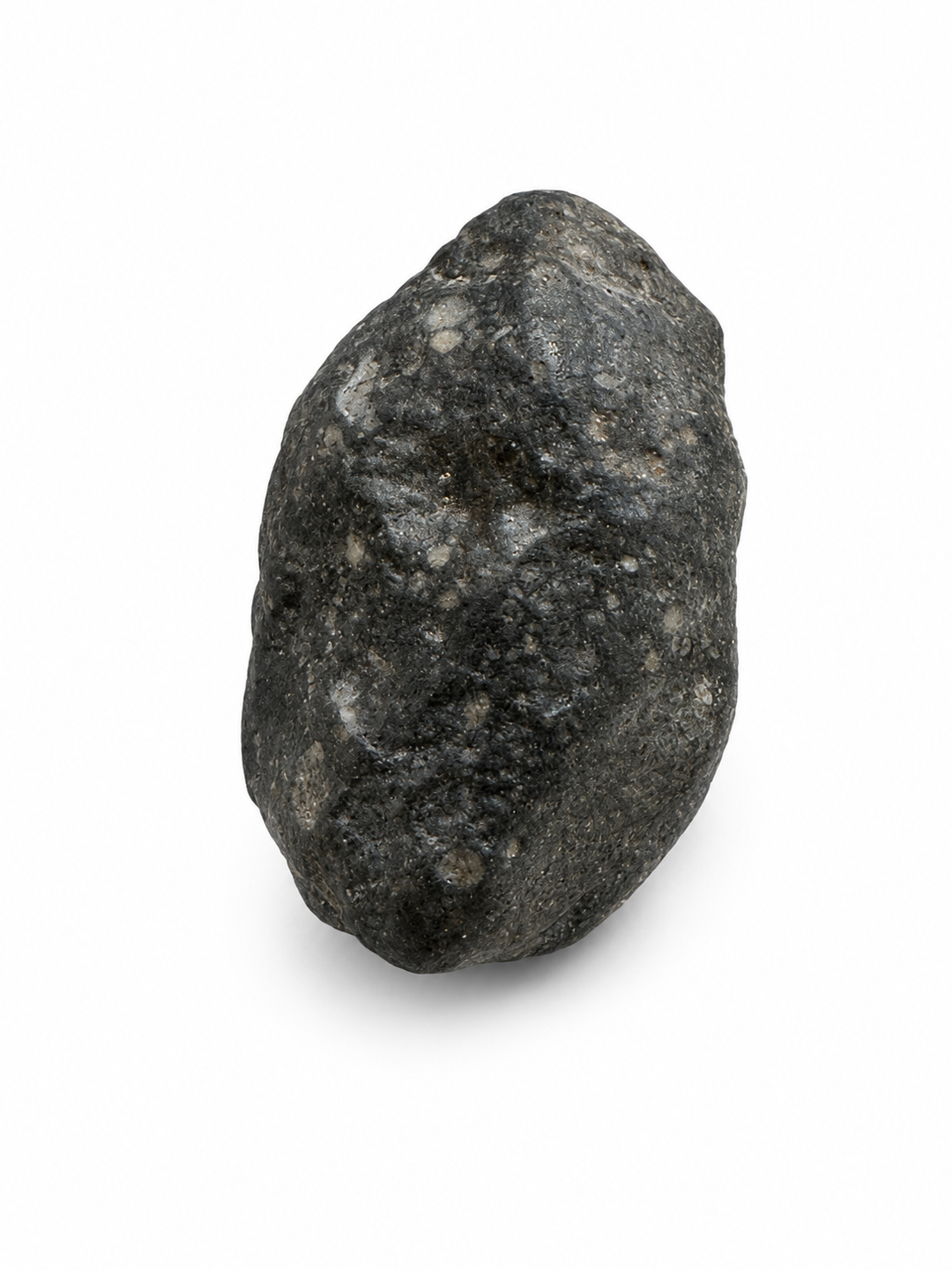 NWA 13683 meteorite showing its natural geological characteristics.