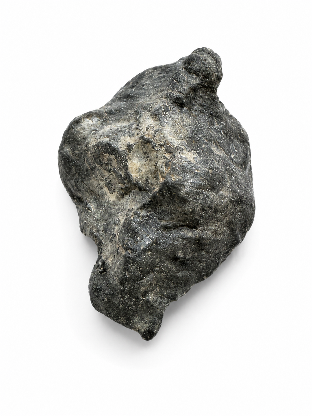 NWA 13683 Rumuruti Chondrite specimen shown on hand for scale.