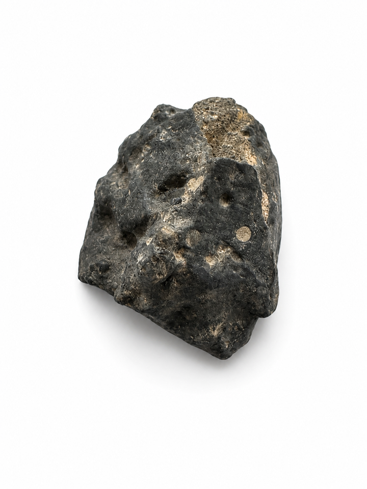 Exact NWA 13683 Rumuruti Chondrite specimen photographed for selection.