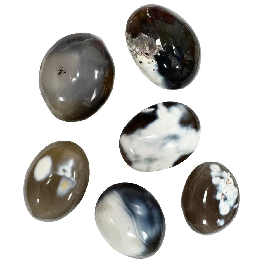 GeoFossils Orca Agate Galets – intuitively picked polished crystal with black and white orca-like banding, for truth, communication, and resilience.