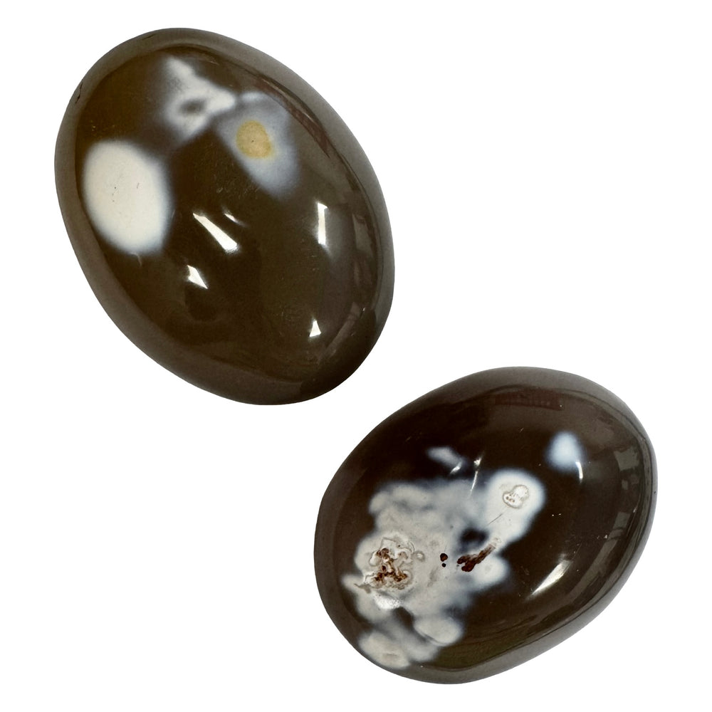 GeoFossils Orca Agate Galets – intuitively picked polished crystal with black and white orca-like banding, for truth, communication, and resilience.
