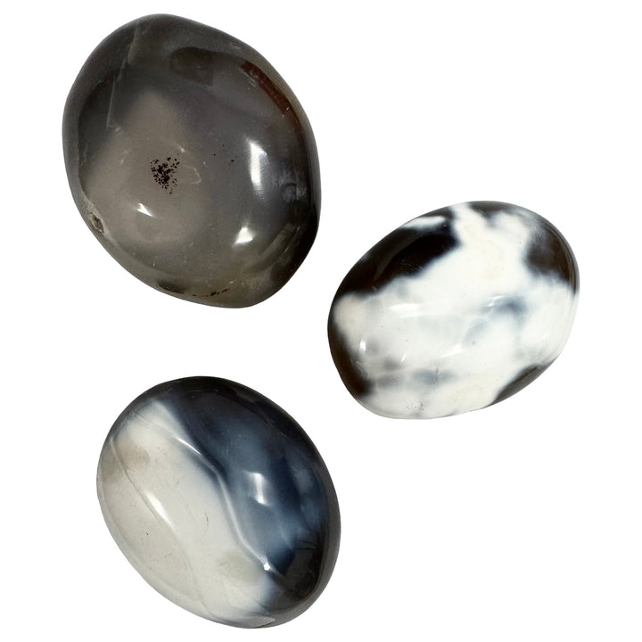 GeoFossils Orca Agate Galets – intuitively picked polished crystal with black and white orca-like banding, for truth, communication, and resilience.