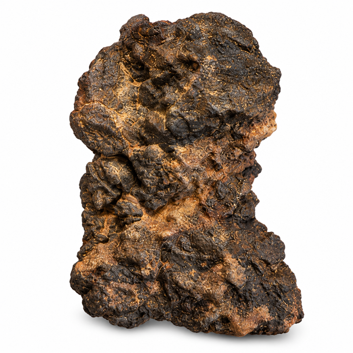 GeoFossils Ouargla 004 lunar meteorite specimen with a dark brown-black, heavily textured brecciated surface and warm tan mineral inclusions on a white background.