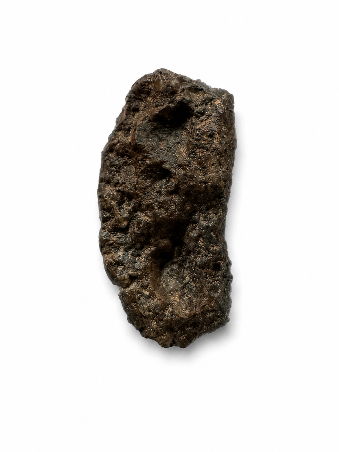 Exact Ouargla 004 Lunar Meteorite specimen photographed on a white background.