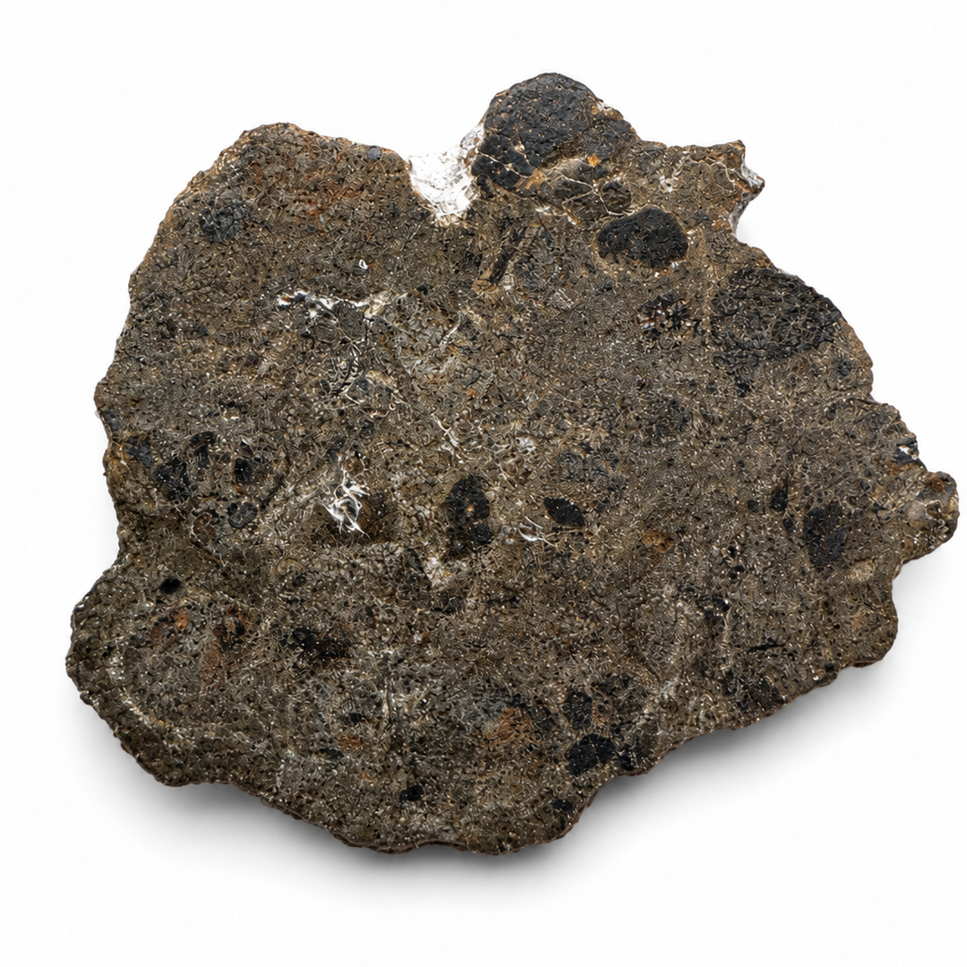 Oued El Hamim 001 lunar meteorite specimen 3
