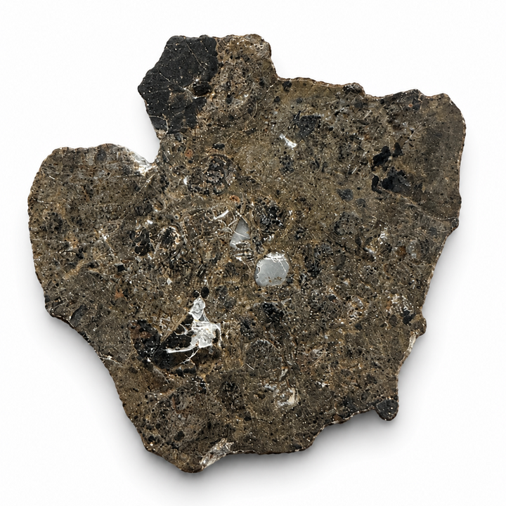Oued El Hamim 001 lunar meteorite specimen 4