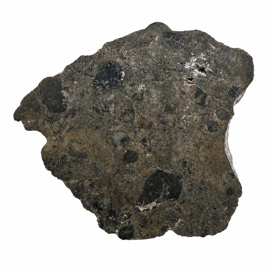 Oued El Hamim 001 lunar meteorite specimen 8
